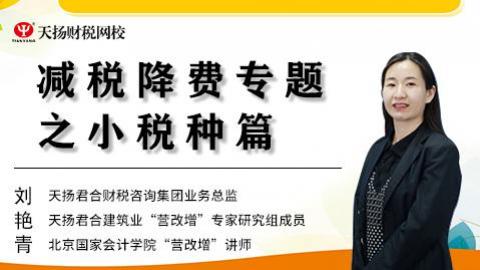 减税降费专题之小税种篇 