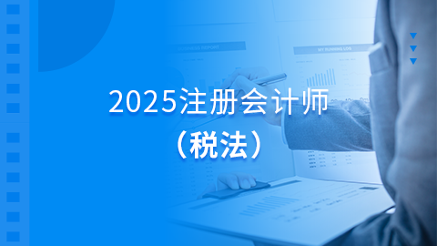 2025注册会计师税法 